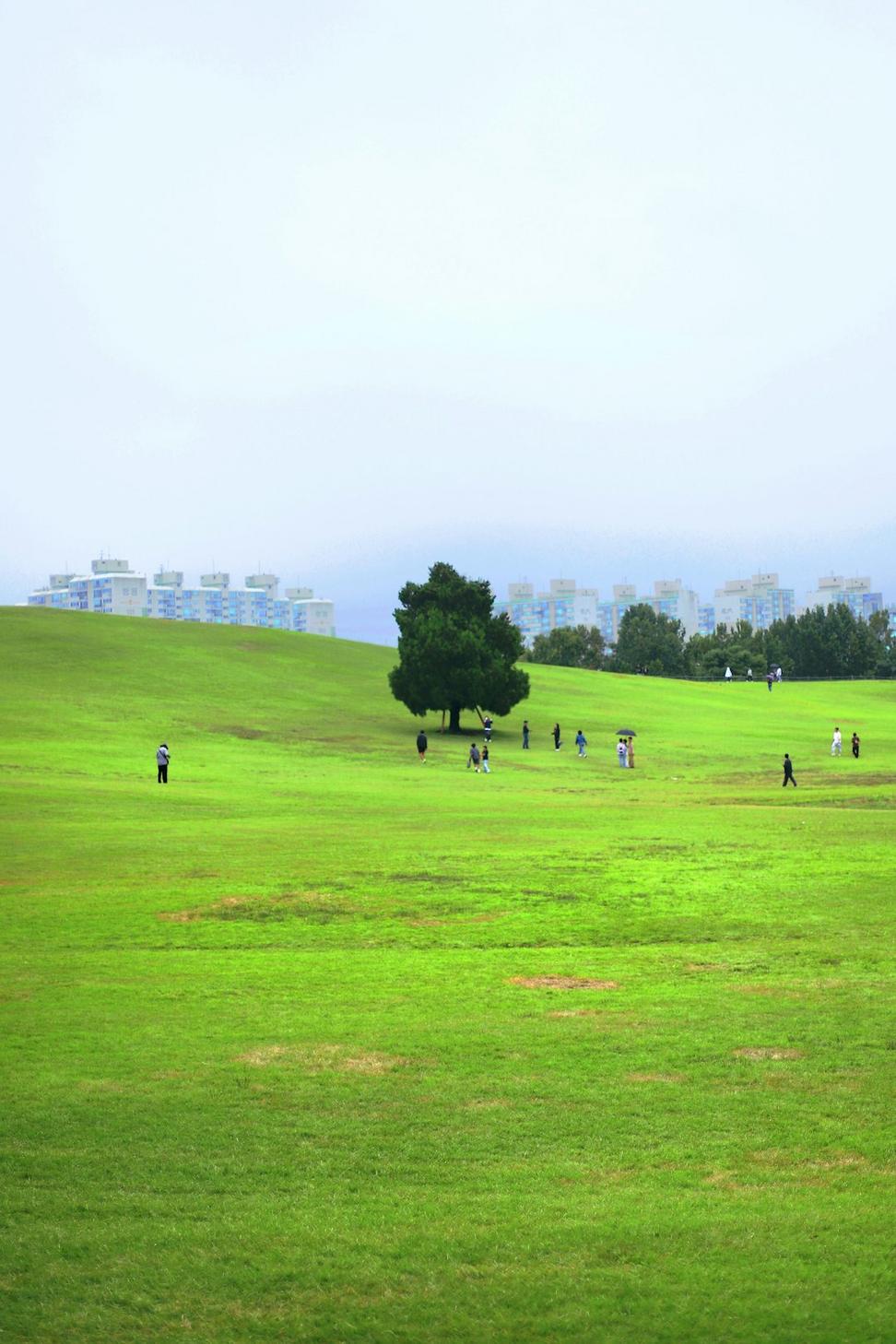 Urban Planning Project